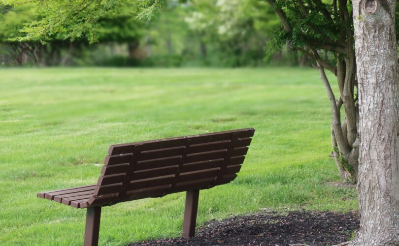 Empty bench under a tree in a quiet park — grief support group in Dover DE
