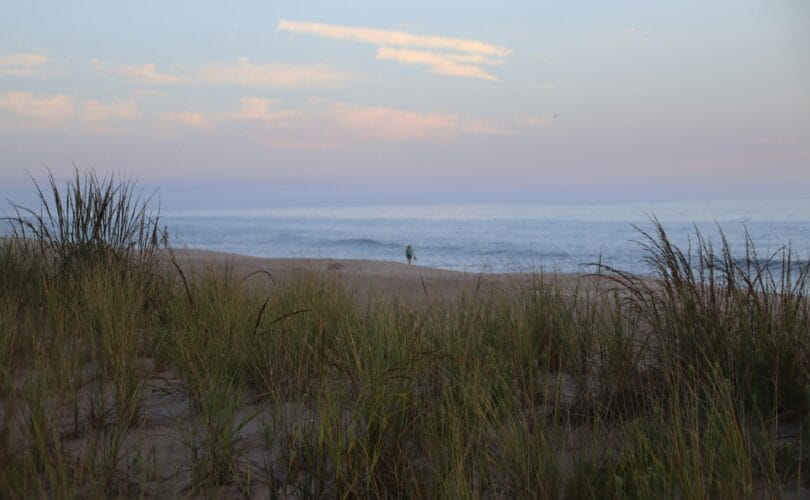 Delaware beaches