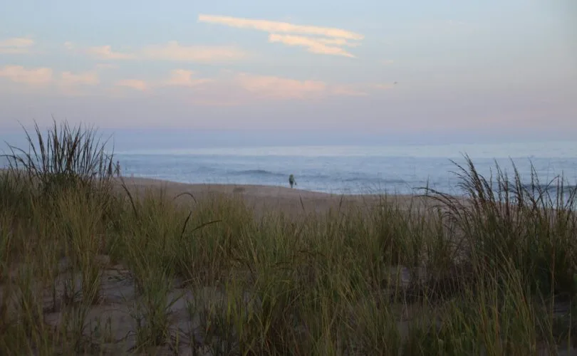 Delaware beaches