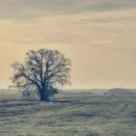 Seasonal Depression: How to Prepare Before Winter Hits